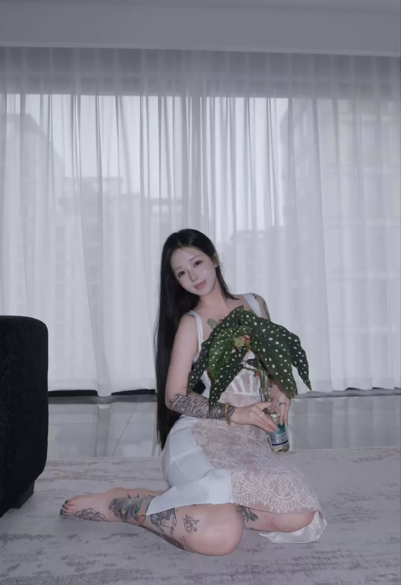 精彩照片