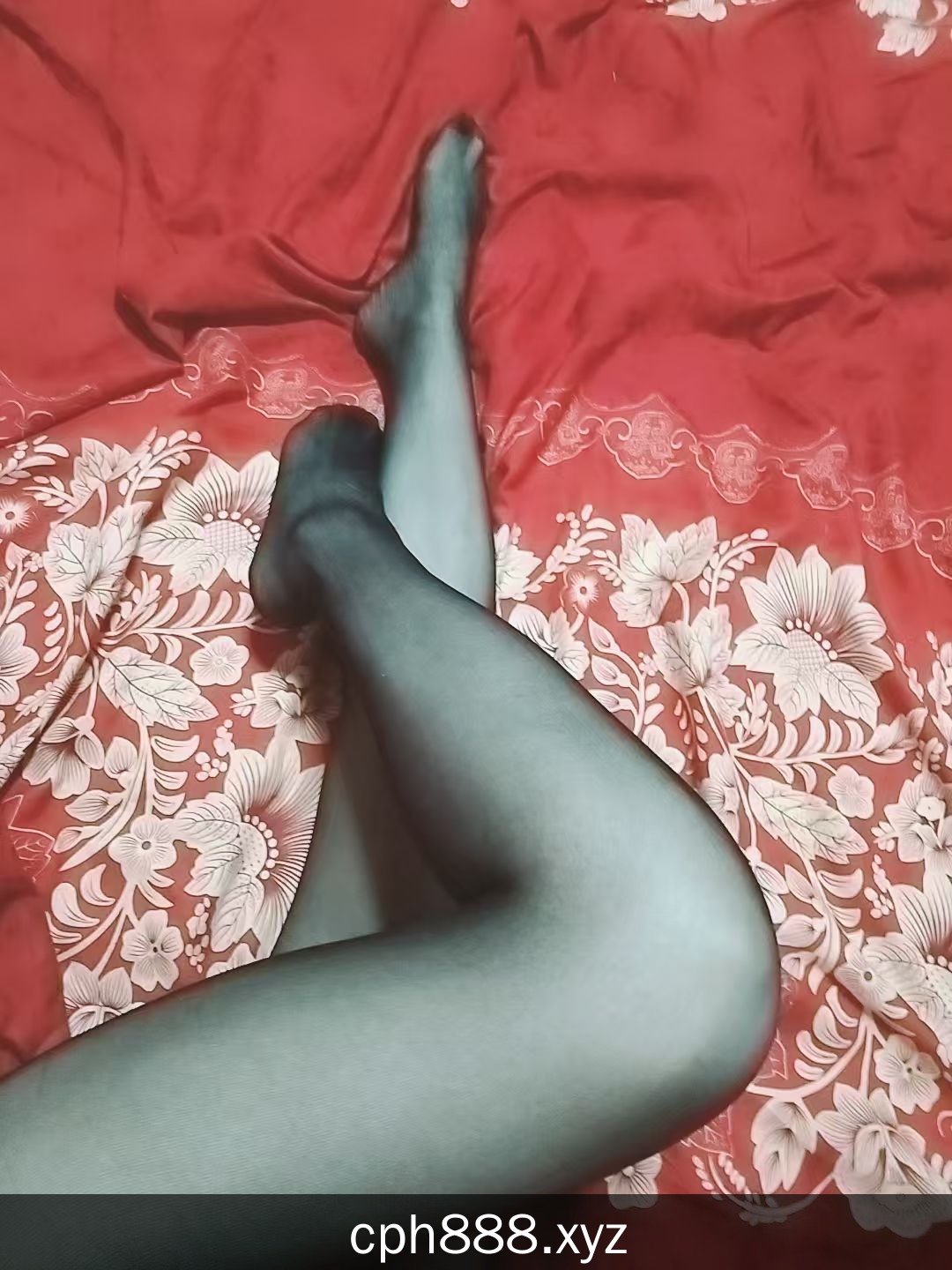 精彩照片