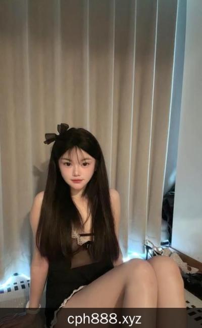 杭州小猫