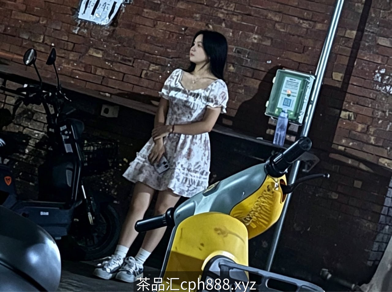 精彩照片